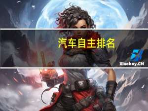 汽车自主排名