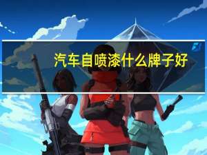 汽车自喷漆什么牌子好