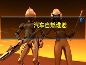 汽车自燃谁赔