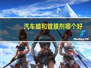 汽车蜡和镀膜剂哪个好