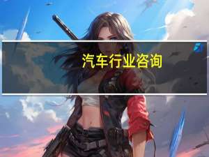汽车行业咨询
