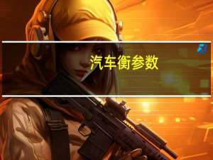 汽车衡参数