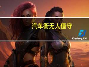 汽车衡无人值守