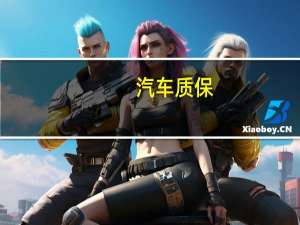 汽车质保