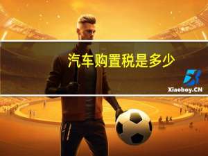 汽车购置税是多少