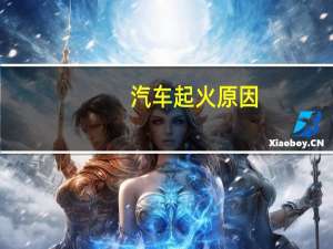 汽车起火原因