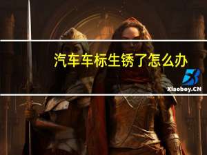 汽车车标生锈了怎么办