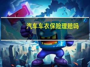 汽车车衣保险理赔吗