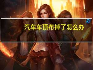 汽车车顶布掉了怎么办