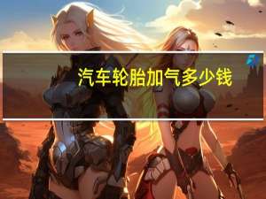 汽车轮胎加气多少钱