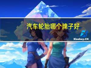汽车轮胎哪个牌子好