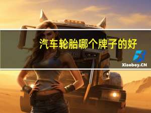 汽车轮胎哪个牌子的好