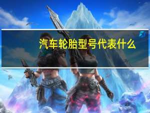 汽车轮胎型号代表什么