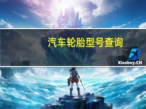 汽车轮胎型号查询