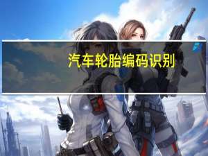 汽车轮胎编码识别