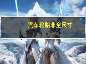 汽车轮胎非全尺寸