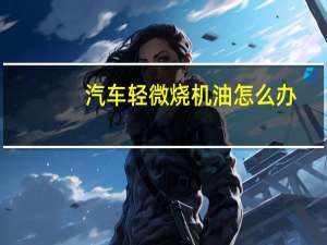 汽车轻微烧机油怎么办