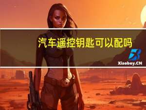 汽车遥控钥匙可以配吗