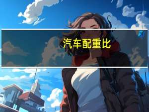 汽车配重比