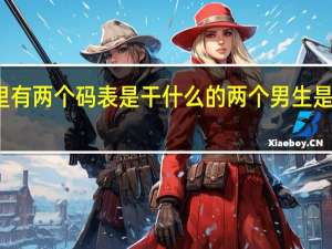 汽车里有两个码表是干什么的 两个男生是怎么开车的