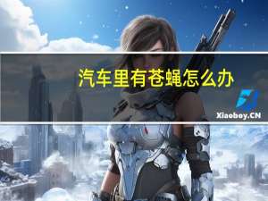 汽车里有苍蝇怎么办