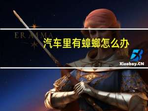 汽车里有蟑螂怎么办