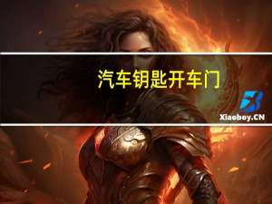 汽车钥匙开车门