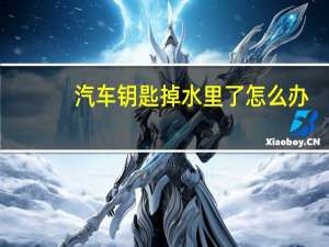 汽车钥匙掉水里了怎么办