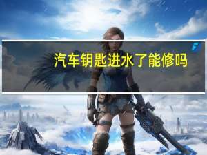 汽车钥匙进水了能修吗