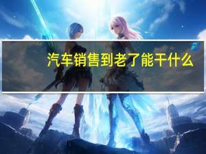 汽车销售到老了能干什么
