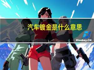 汽车镀金是什么意思
