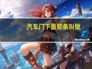 汽车门下面那条叫做