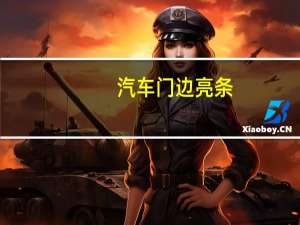汽车门边亮条