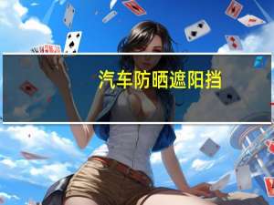汽车防晒遮阳挡