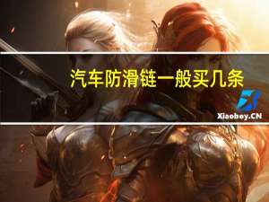 汽车防滑链一般买几条