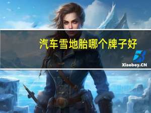 汽车雪地胎哪个牌子好