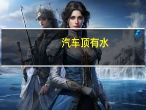 汽车顶有水