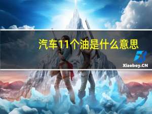 汽车11个油是什么意思