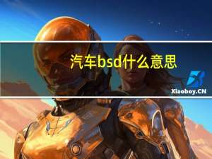 汽车bsd什么意思