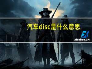 汽车disc是什么意思