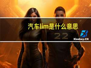 汽车lim是什么意思