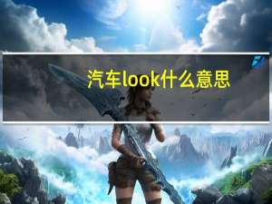 汽车look什么意思