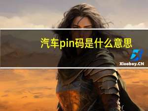 汽车pin码是什么意思