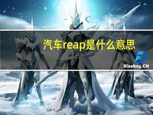 汽车reap是什么意思