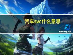 汽车svc什么意思