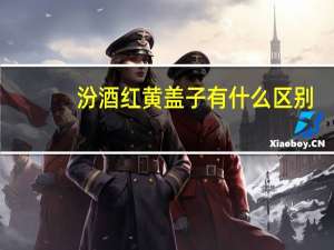 汾酒红黄盖子有什么区别