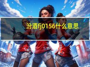 汾酒fj0156什么意思