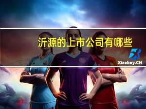 沂源的上市公司有哪些