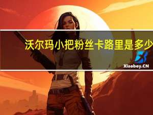 沃尔玛 小把粉丝卡路里是多少