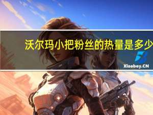 沃尔玛 小把粉丝的热量是多少